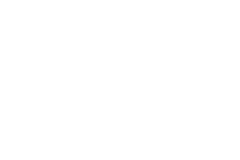 logo bianco